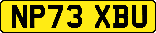 NP73XBU
