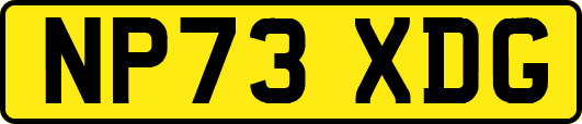 NP73XDG