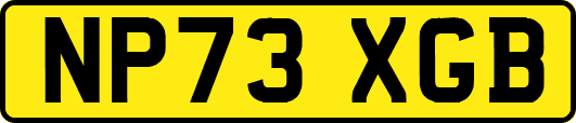 NP73XGB
