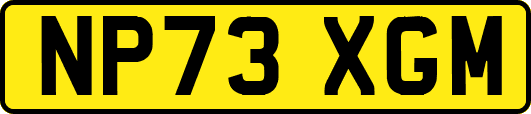 NP73XGM