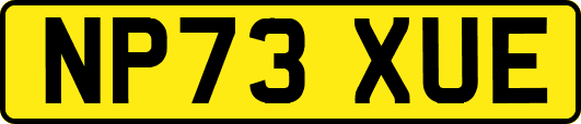 NP73XUE