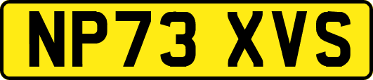 NP73XVS