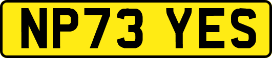 NP73YES