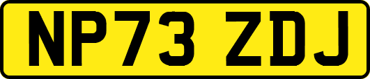 NP73ZDJ