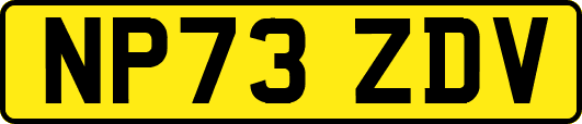 NP73ZDV