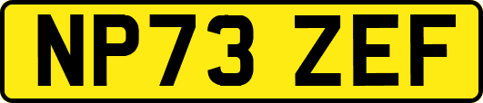 NP73ZEF