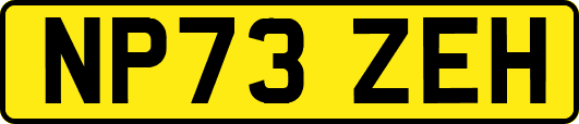 NP73ZEH