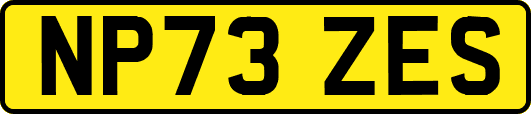 NP73ZES
