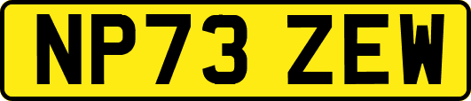 NP73ZEW