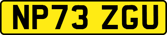 NP73ZGU