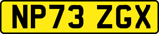 NP73ZGX