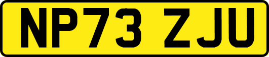 NP73ZJU