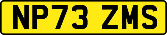 NP73ZMS