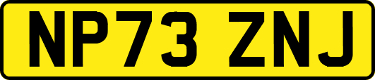 NP73ZNJ