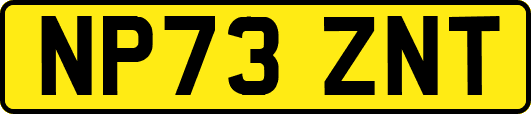 NP73ZNT
