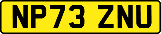 NP73ZNU