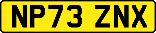 NP73ZNX
