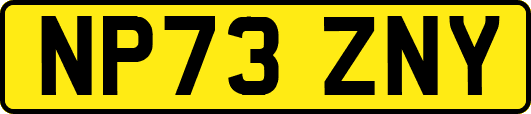 NP73ZNY