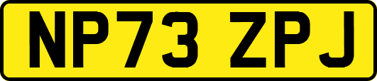 NP73ZPJ