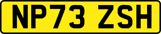 NP73ZSH