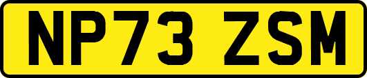 NP73ZSM