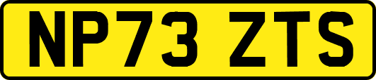 NP73ZTS