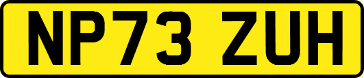 NP73ZUH