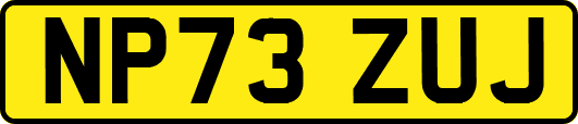NP73ZUJ