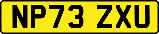 NP73ZXU