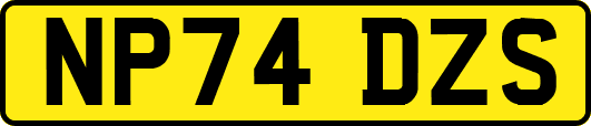 NP74DZS