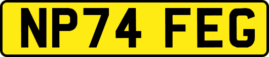 NP74FEG