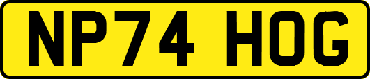 NP74HOG