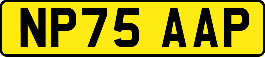 NP75AAP