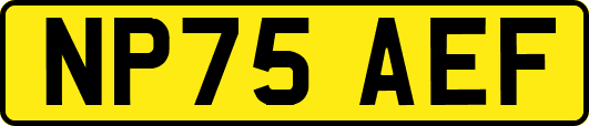 NP75AEF