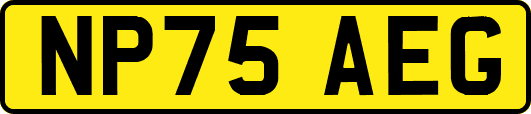 NP75AEG