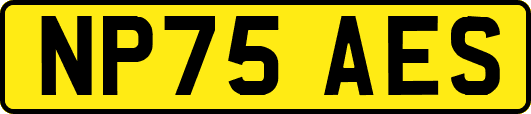 NP75AES