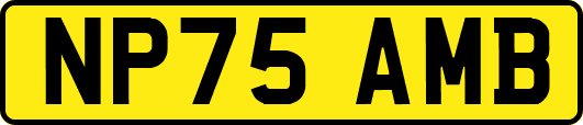 NP75AMB