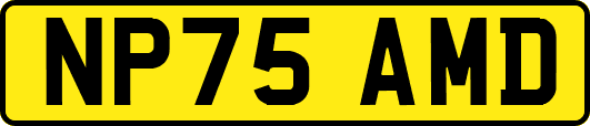 NP75AMD