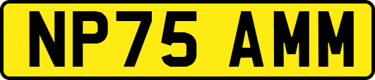 NP75AMM