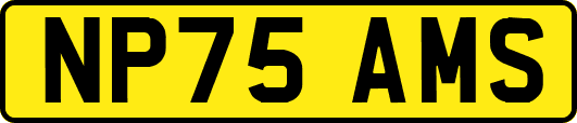 NP75AMS