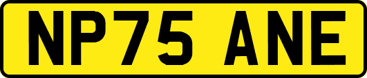 NP75ANE