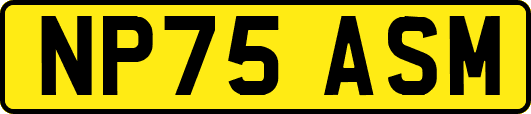 NP75ASM