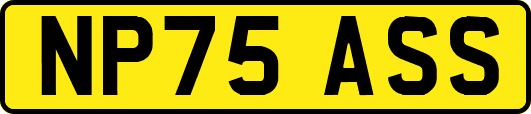 NP75ASS