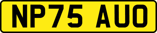 NP75AUO