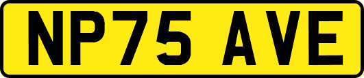 NP75AVE