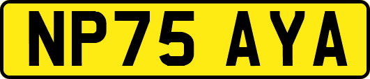 NP75AYA