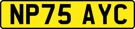 NP75AYC
