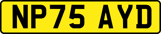 NP75AYD