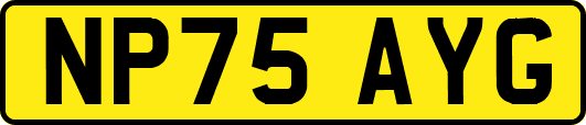 NP75AYG