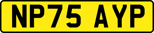 NP75AYP